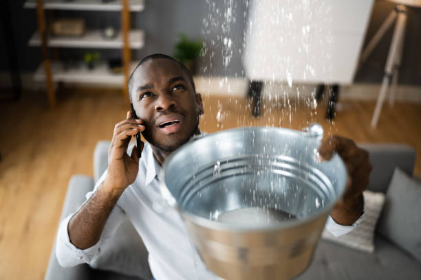 Best Flooded house restoration  in Concord, AL