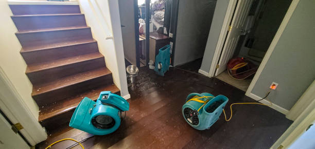 Best Water damage restoration experts  in Concord, AL