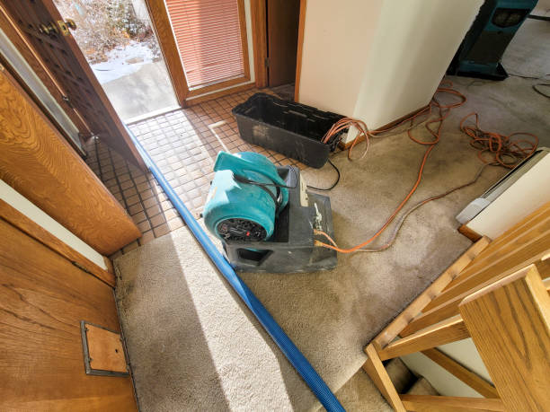 Best Mold removal after water damage  in Concord, AL