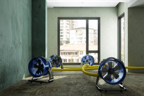 Best Sewage cleanup and water damage restoration  in Concord, AL